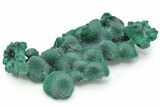 Silky, Fibrous Malachite Cluster - Congo #224011-1